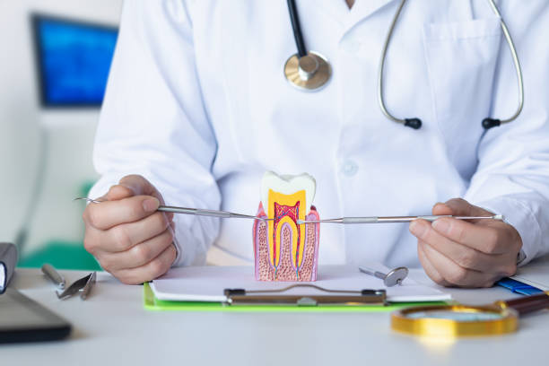 Best Urgent Care for Lost Fillings or Crowns in Kihei, HI
